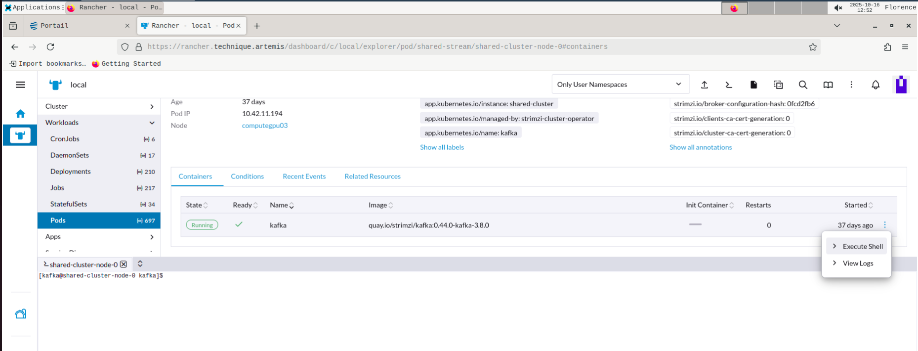 Accéder au shell du pod